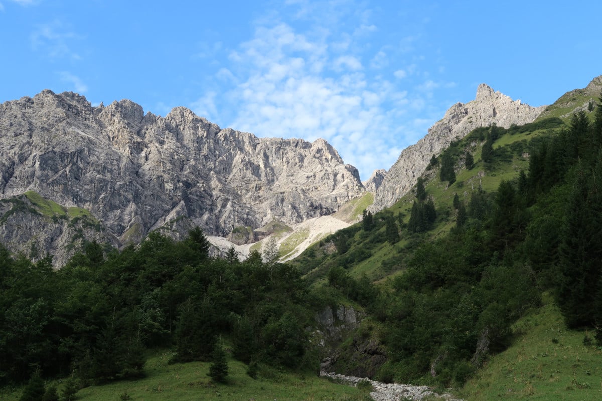 Allgaeu_082017_GrWidderstein_02